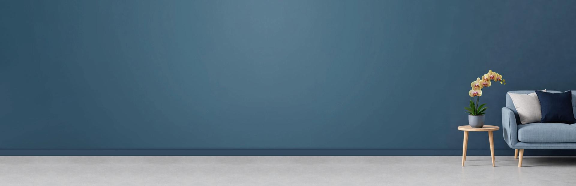 Banner de busca